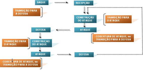 Figura 5