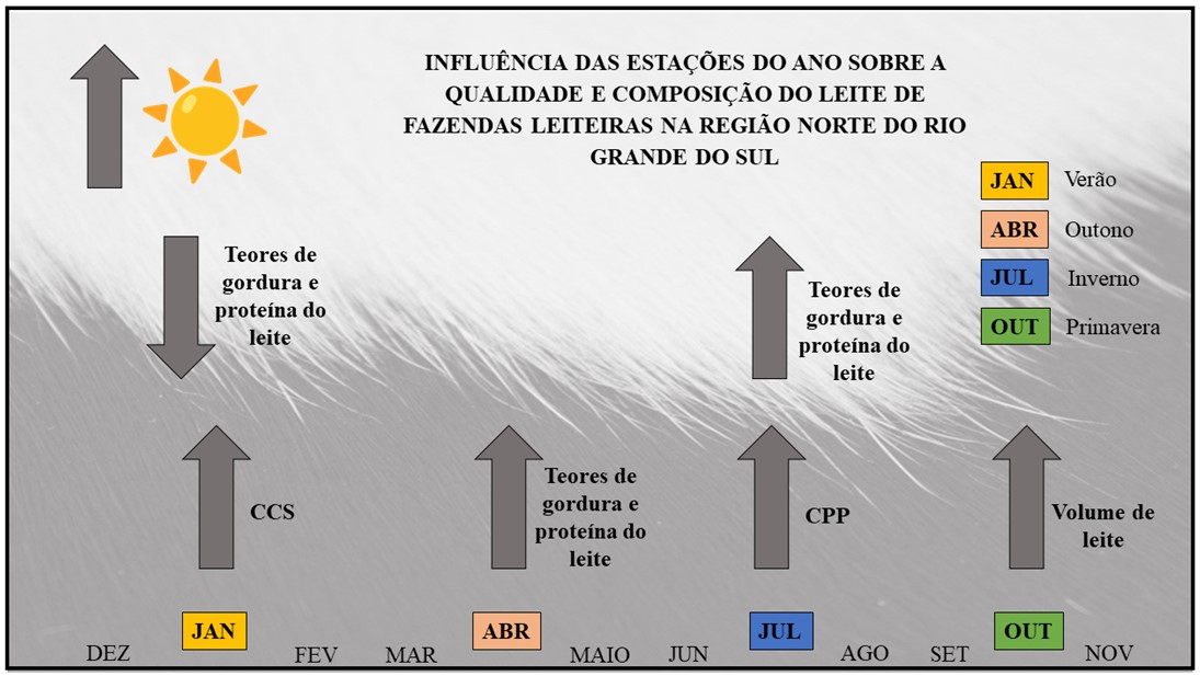Resumo gráfico