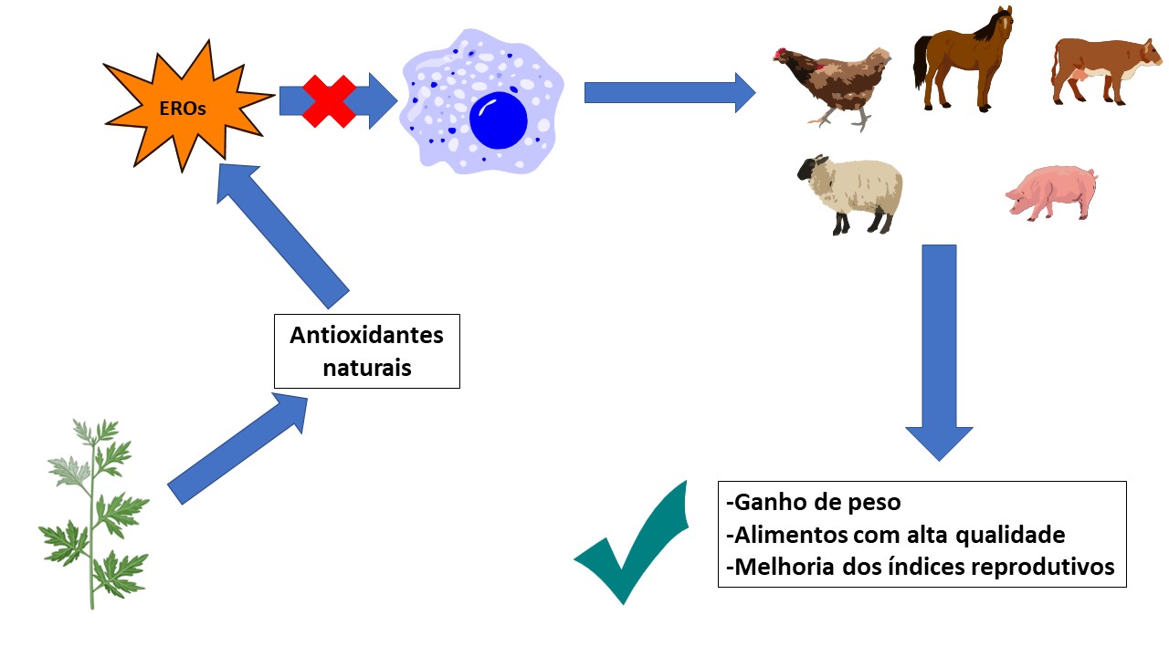 Resumo gráfico
