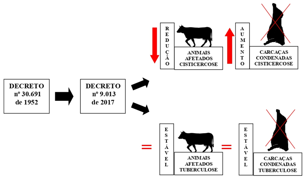 Resumo Gráfico