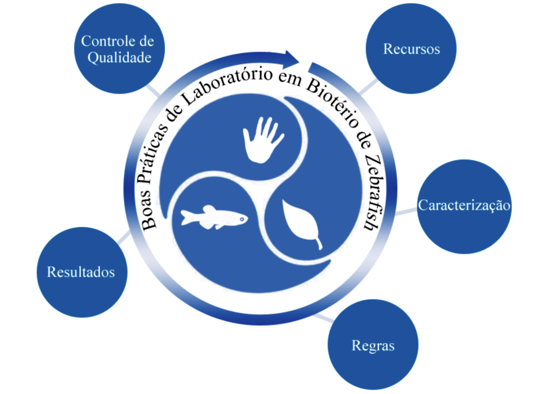 Resumo gráfico - Boas práticas na criação e manutenção de zebraﬁsh (Danio rerio) em laboratório no Brasil