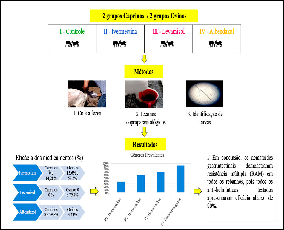Resumo gráfico